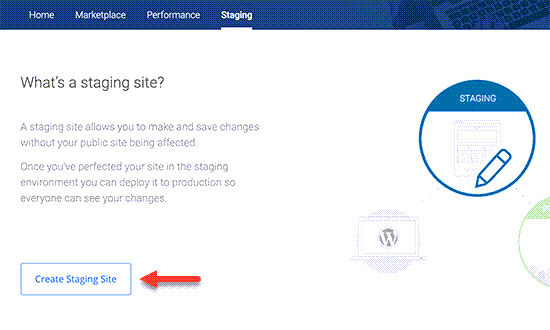 Click on the create a staging site option.