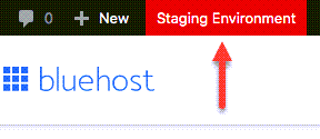 red button indicating that we are in the staging WordPress site.