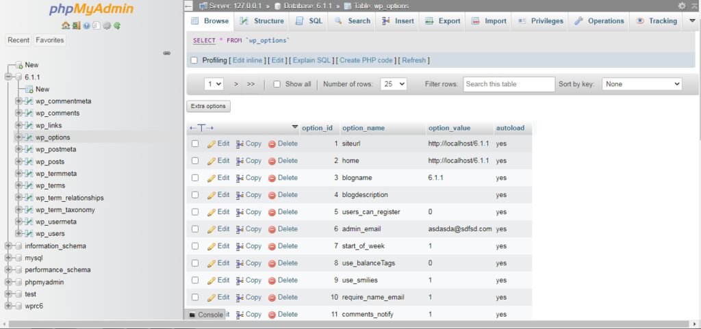 WordPress database table options