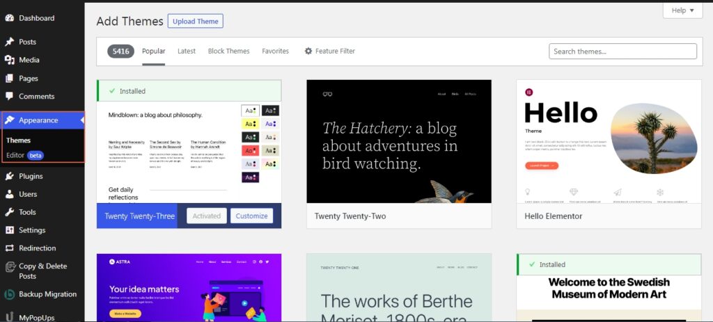 WordPress theme setup