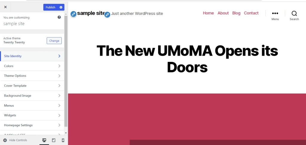 theme customizer