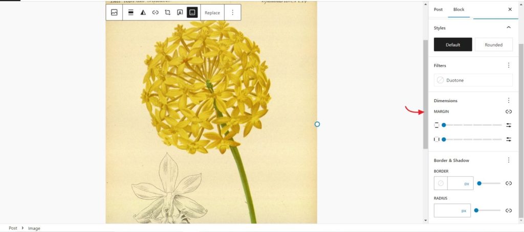 image block with margin control